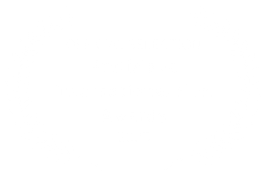 Official Selection — Bratislava International Film Awards 2025