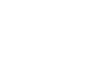 Official Selection — Imbibe Cinema 2024