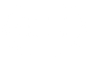 Official Selection — Valencia Indie Film Festival 2024
